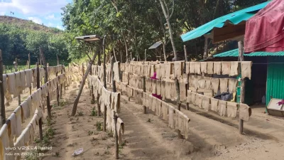 দেশীয় উৎপাদিত রাবারের বাজার দর এখন কমে গেছে। ছবি: ইত্তেফাক 