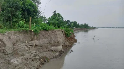 ধরলার তীব্র ভাঙন যেন থামছেই না। ছবি: ইত্তেফাক