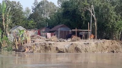 ভিটামাটি হারানোর শঙ্কায় যমুনার তীরবর্তী মানুষ। ছবি: ইত্তেফাক 