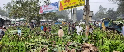 ছবি: মামুন হায়দার