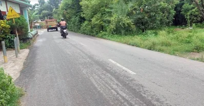 বাঘা-আড়ানী প্রধান সড়ক। ছবি: ইত্তেফাক
