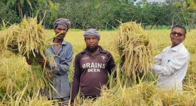 কৃষিখাতে হয়েছে ব্যাপক উন্নয়ন। ছবি: ইত্তেফাক