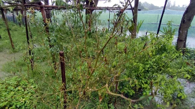 ছবি: ইত্তেফাক