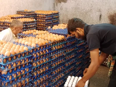 ডিমের বাজার। ছবি: ফোকাস বাংলা