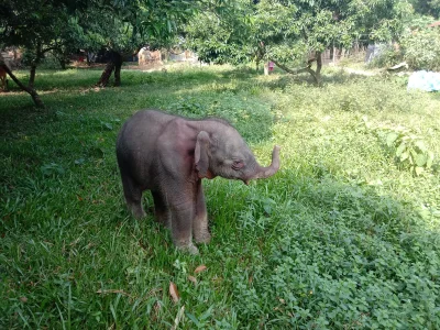 ছবি: ইত্তেফাক