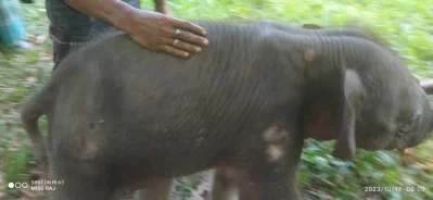 ছবি: ইত্তেফাক