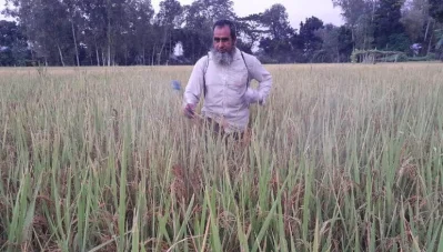 ছবি: এমদাদুল হক