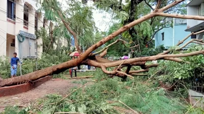 ছবি: সায়ীদ আলমগীর