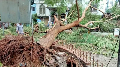 ছবি: সায়ীদ আলমগীর