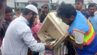 আটককৃতদের কাছ থেকে জব্দকৃত ইলিশ এতিমখানায় দেওয়া হয়। ছবি: ইত্তেফাক