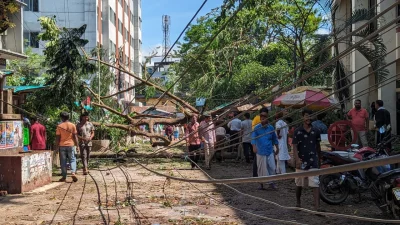 ছবি: সায়ীদ আলমগীর