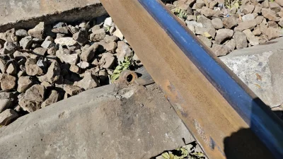 ছবি: ফোকাস বাংলা
