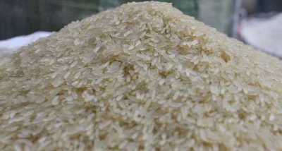 চালের বাজার। ছবি: ফোকাস বাংলা