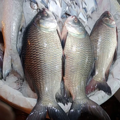 মাছের বাজার। ছবি: ফোকাস বাংলা