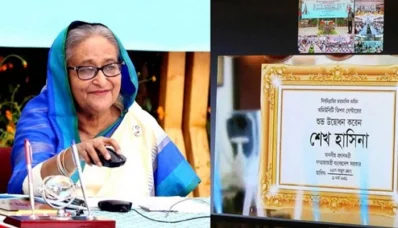১৩ জেলার উপজেলা স্বাস্থ্য কমপ্লেক্সে আরও ৪৫ কমিউনিটি ভিশন সেন্টার উদ্বোধন। ছবি: সংগৃহীত
