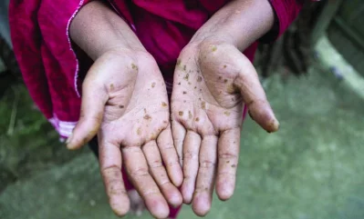 ফাইল ছবি 
