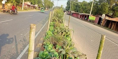 ছবি: ইত্তেফাক