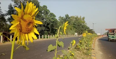 ছবি: ইত্তেফাক