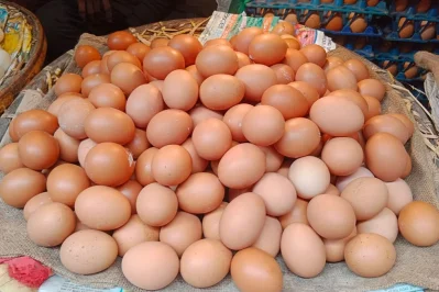 ডিমের বাজার। ছবি: ফোকাস বাংলা