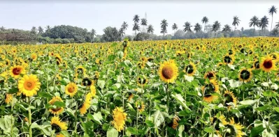 ছবি: ইত্তেফাক