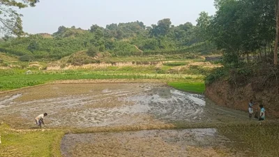 গোলাগুলি না থাকায় ক্ষেতে ফিরেছেন কৃষকরা। ছবি: ইত্তেফাক