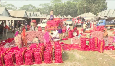 ছবি: ইত্তেফাক