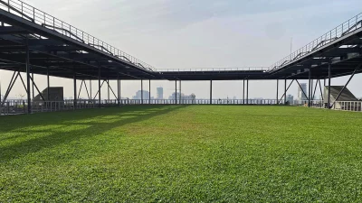 সবুজ ঘাসে ঢাকা ছাদ। ছবি: সংগৃহীত
