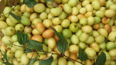 বরই