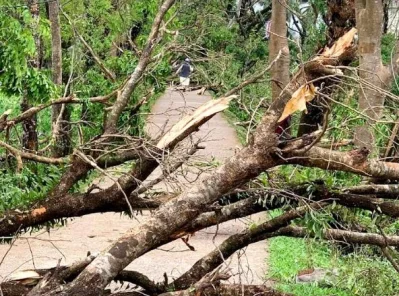 ছবি: নাহিদ আহমেদ