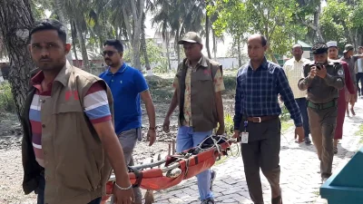 উদ্ধারের পর কুমিড়টি ফের বনে অবমুক্ত করা হয়। ছবি: ইত্তেফাক