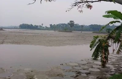 পাথরঘাটা বিলে এবার কোনো ধান চাষ হয়নি। ছবি: অহিদুজ্জামান