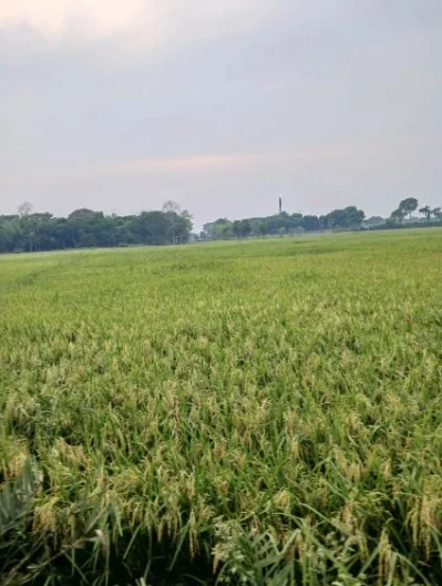 ছবি: অহিদুজ্জামান