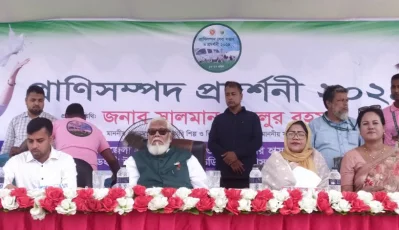 মঞ্চে উপস্থিত সালমান এফ রহমান। ছবি: শাহিনুর রহমান