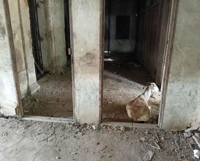 সমিতির কার্যালয়ের ভেতরের অবস্থা