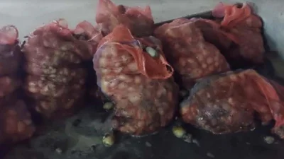 ছবি: ইত্তেফাক
