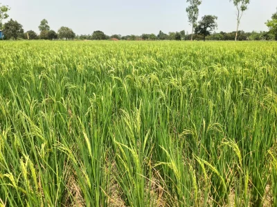 ছবি: ইত্তেফাক
