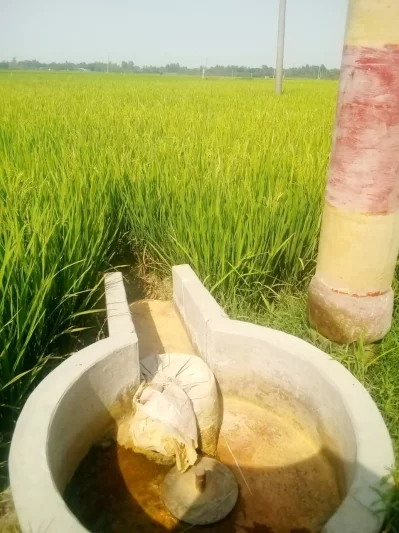 ছবি: ইত্তেফাক