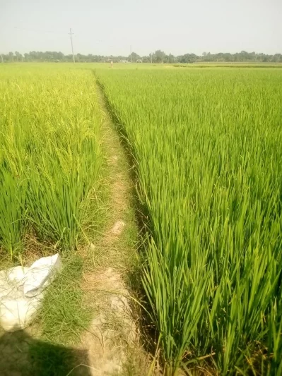 ছবি: ইত্তেফাক