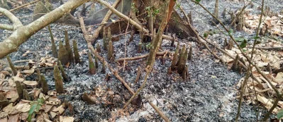 ছবি: ইত্তেফাক
