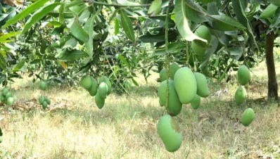 ছবি: আজহার উদ্দিন
