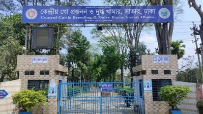 সাভার কেন্দ্রীয় গো প্রজনন ও দুগ্ধ খামার