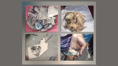 জমা দেওয়া দেহাবশেষ। ছবি: সংগৃহীত