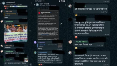 &lsquo;আলো আসবেই&rsquo; হোয়াটসঅ্যাপ গ্রুপের ভাইরাল হওয়া স্ক্রিনশট। ছবি: সংগৃহীত