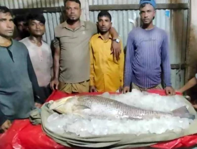 তাদের জালেই ধরা পড়েছে এই মাছ