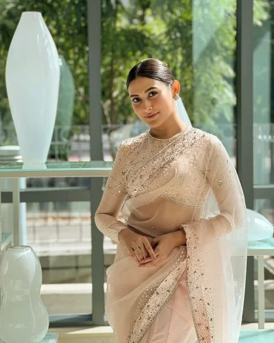 অভিনেত্রী মেহজাবীন চৌধুরী। ছবি: সংগৃহীত
