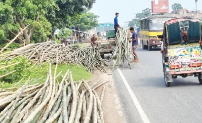 ছবি: ইত্তেফাক