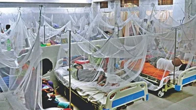 ডেঙ্গু