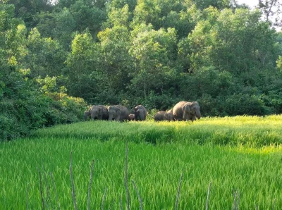 ছবি: ইত্তেফাক