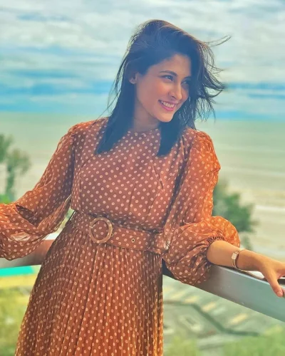মেহজাবীন চৌধুরী। ছবি: সংগৃহীত