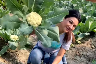 সবজি বাগানে জয়া আহসান। ছবি: সংগৃহীত